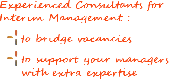 Experienced Consultants for Interim Management: to bridge vacancies & to support your managers with extra expertise